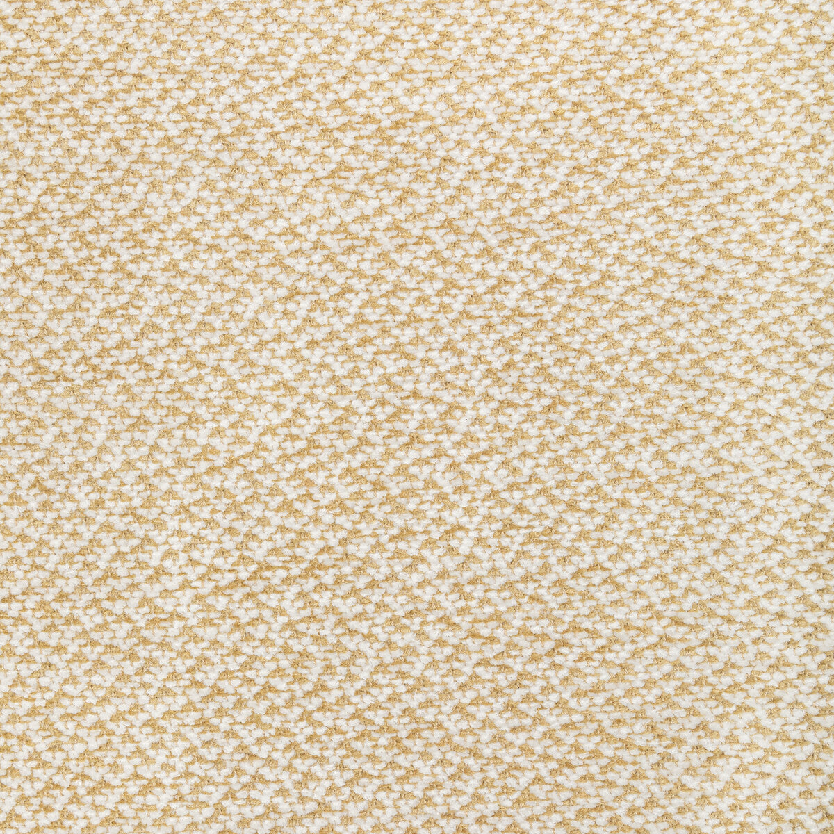 BRUNSCHWIG & FILS 8022122.4.0 SASSON TEXTURE GOLD Fabric - Eade's Wallpaper