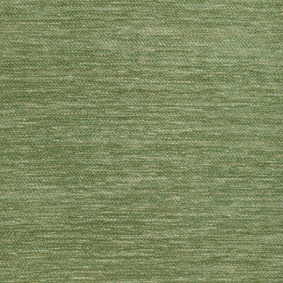 BRUNSCHWIG & FILS 8022126.3.0 COGNIN TEXTURE GREEN Fabric - Eade's Wallpaper