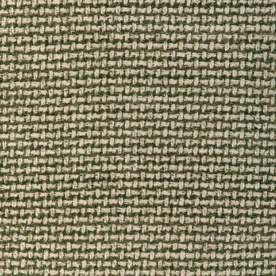 BRUNSCHWIG & FILS 8023154.316.0 NIVOLET TEXTURE GREEN Fabric - Eade's Wallpaper