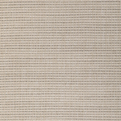 BRUNSCHWIG & FILS 8024115.166.0 LE CABAS TEXTURE CHARCOAL Fabric - Eade's Wallpaper