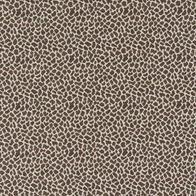 BRUNSCHWIG & FILS LAFAYETTE WEAVE 8026105.6.0 in BROWN Fabri