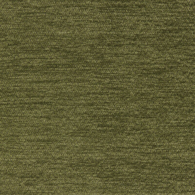 BRUNSCHWIG & FILS TREVOUX TEXTURE 8026112.33.0 in LEAF Fabri