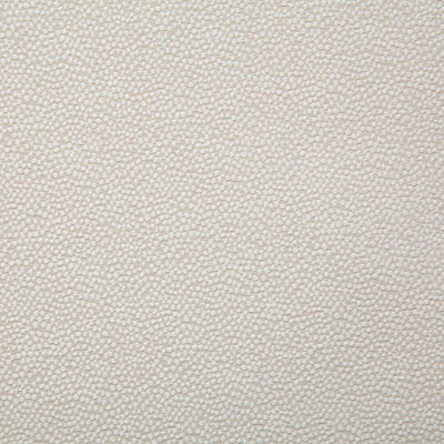 Pindler THORNE SAND 8027 Fabric - Fabric Collection