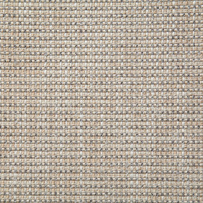 Pindler ABNEY SHELL 8043 Fabric - Fabric Collection