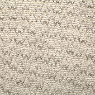 Pindler PELTRY TUSSAH 8054 Fabric - Fabric Collection