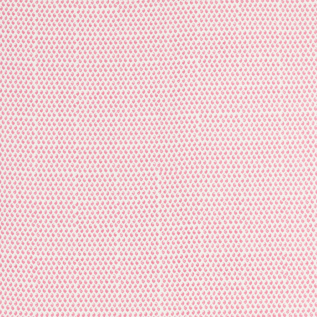 Schumacher 805B65 CEYLON in BORSCHT Fabric - RAOUL TEXTILES