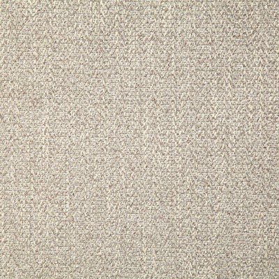 Pindler GIBBON DOVE 8062 Fabric - Fabric Collection