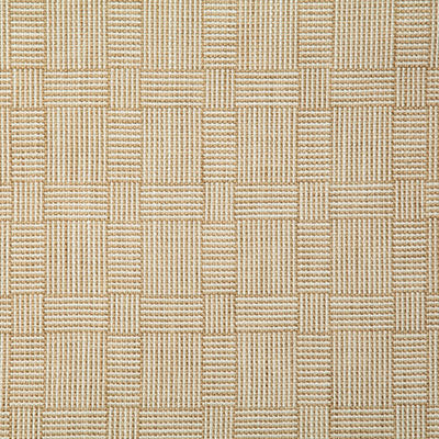 Pindler RUBEN SAND 8070 Fabric - Fabric Collection