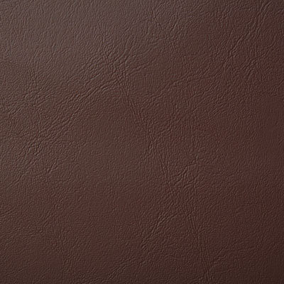 Pindler POOLSIDE BROWN 8073 Fabric - Fabric Collection