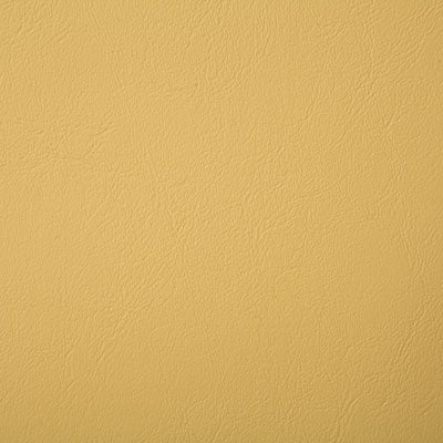 Pindler POOLSIDE CANARY 8073 Fabric - Fabric Collection