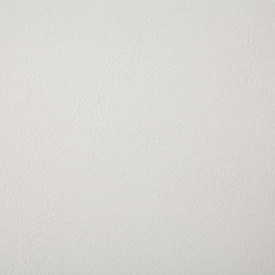 Pindler POOLSIDE COCONUT 8073 Fabric - Fabric Collection