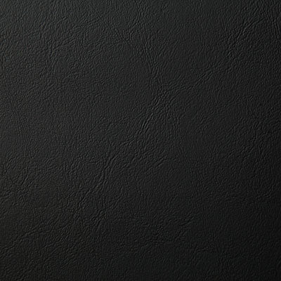 Pindler POOLSIDE NOIR 8073 Fabric - Fabric Collection