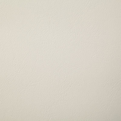 Pindler POOLSIDE PEARL 8073 Fabric - Fabric Collection