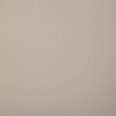 Pindler POOLSIDE SAND 8073 Fabric - Fabric Collection