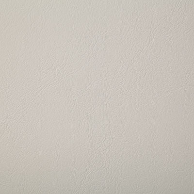 Pindler POOLSIDE SHELL 8073 Fabric - Fabric Collection