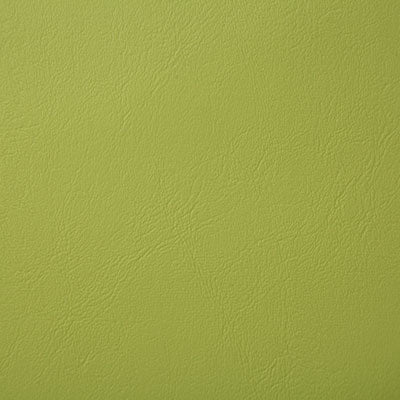 Pindler POOLSIDE SPROUT 8073 Fabric - Fabric Collection