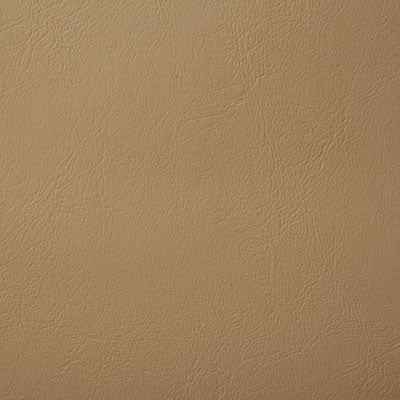 Pindler POOLSIDE TAN 8073 Fabric - Fabric Collection