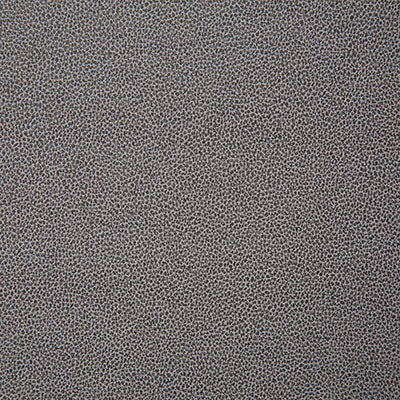 Pindler LASSO ASH 8078 Fabric - Fabric Collection