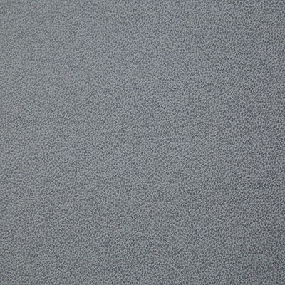 Pindler LASSO CEMENT 8078 Fabric - Fabric Collection