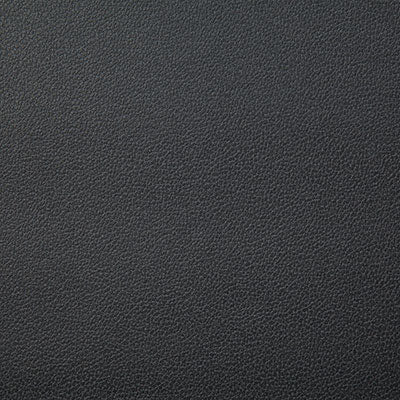 Pindler LASSO CHARCOAL 8078 Fabric - Fabric Collection