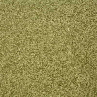 Pindler LASSO CITRON 8078 Fabric - Fabric Collection