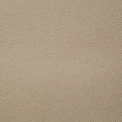 Pindler LASSO FAWN 8078 Fabric - Fabric Collection