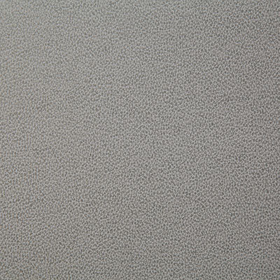 Pindler LASSO GREIGE 8078 Fabric - Fabric Collection