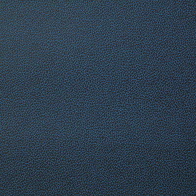 Pindler LASSO INK 8078 Fabric - Fabric Collection