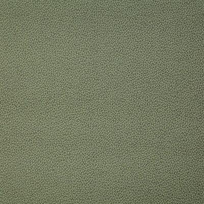 Pindler LASSO MOSS 8078 Fabric - Fabric Collection