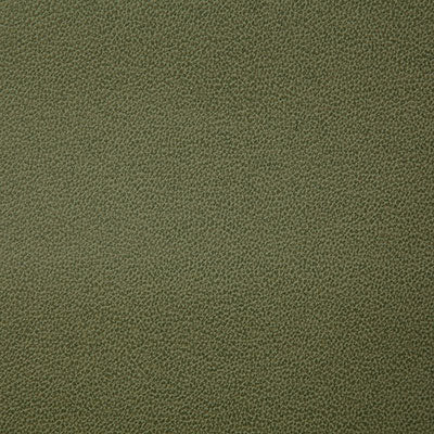 Pindler LASSO PALM 8078 Fabric - Fabric Collection