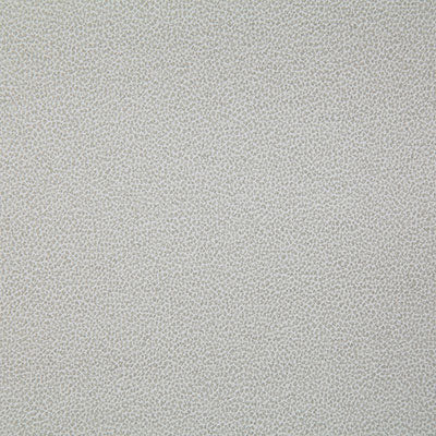 Pindler LASSO PARCHMENT 8078 Fabric - Fabric Collection