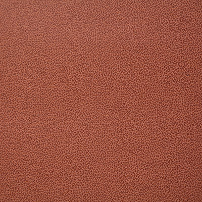 Pindler LASSO TERRACOTTA 8078 Fabric - Fabric Collection