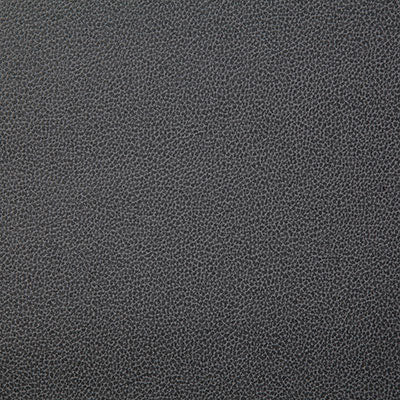 Pindler LASSO THUNDER 8078 Fabric - Fabric Collection