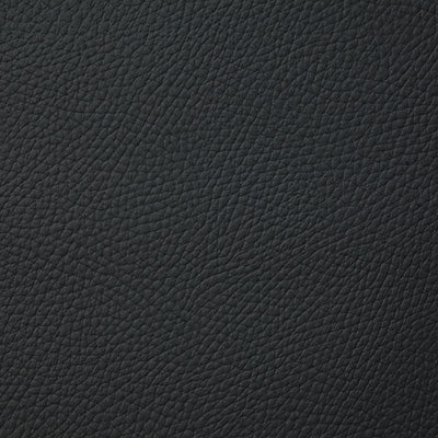 Pindler BANDERO BLACK 8079 Fabric - Fabric Collection