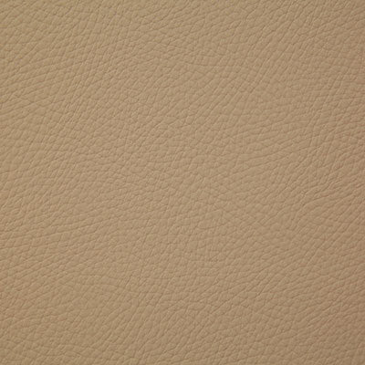 Pindler BANDERO BUCKSKIN 8079 Fabric - Fabric Collection