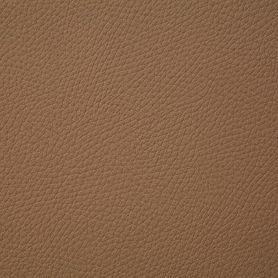 Pindler BANDERO CAMEL 8079 Fabric - Fabric Collection