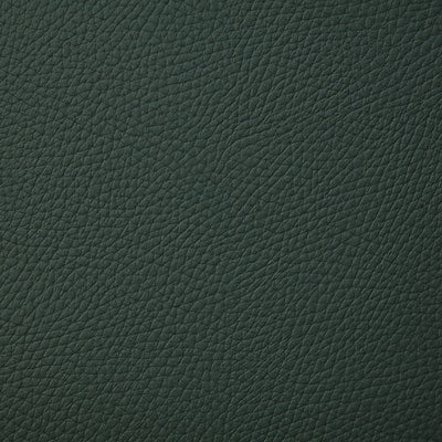 Pindler BANDERO IVY 8079 Fabric - Fabric Collection