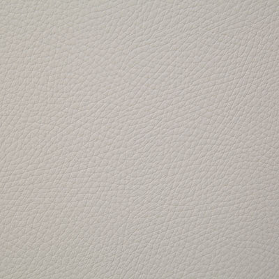 Pindler BANDERO PARCHMENT 8079 Fabric - Fabric Collection