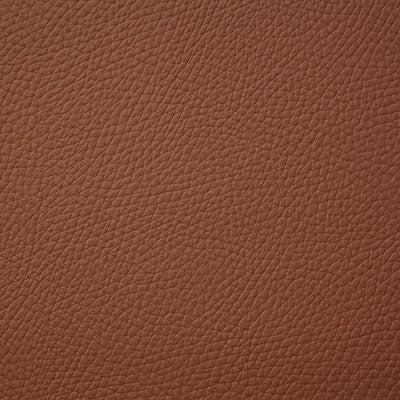 Pindler BANDERO SADDLE 8079 Fabric - Fabric Collection