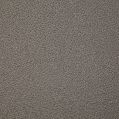 Pindler BANDERO TAUPE 8079 Fabric - Fabric Collection