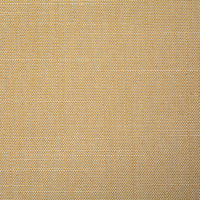 Pindler RALEIGH BUTTERCUP 8091 Fabric - Fabric Collection