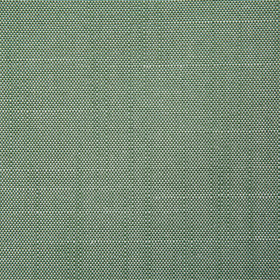 Pindler RALEIGH LEAF 8091 Fabric - Fabric Collection