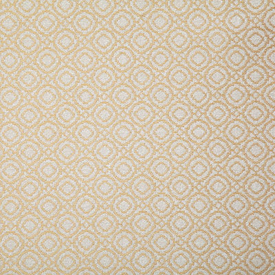 Pindler SAYER BUTTERCUP 8092 Fabric - Fabric Collection