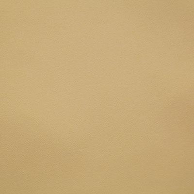 Pindler HAYES GOLDEN 8104 Fabric - Fabric Collection