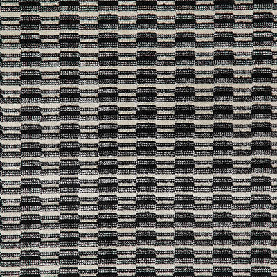 Pindler OZZY DOMINO 8119 Fabric - Fabric Collection