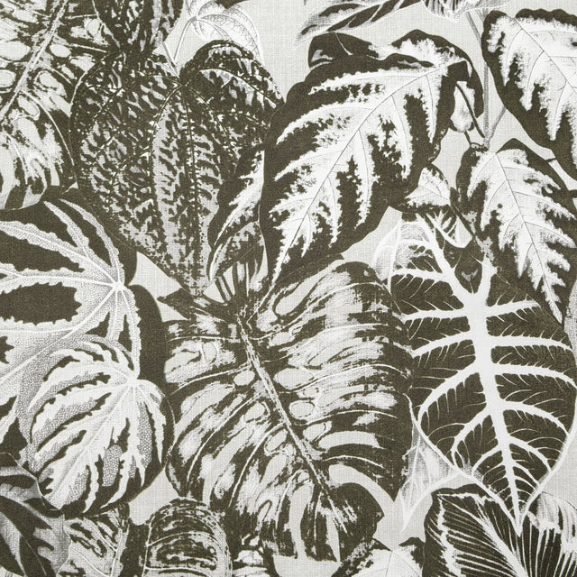 Galerie GH81263-23 Silver Grey Elephant Lf - Eade's Wallpaper