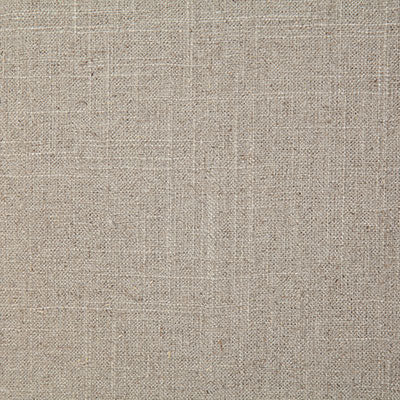 Pindler RELIANCE PEBBLE 8136 Fabric - Fabric Collection