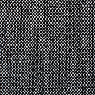 Pindler WADING NOIR 8167 Fabric - Fabric Collection
