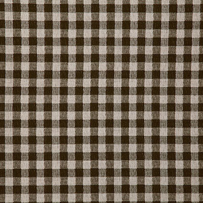 Pindler LITTLE GINGHAM BARK 8173 Fabric - Fabric Collection