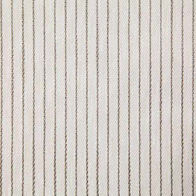 Pindler ELLSWORTH BIRCH 8182 Fabric